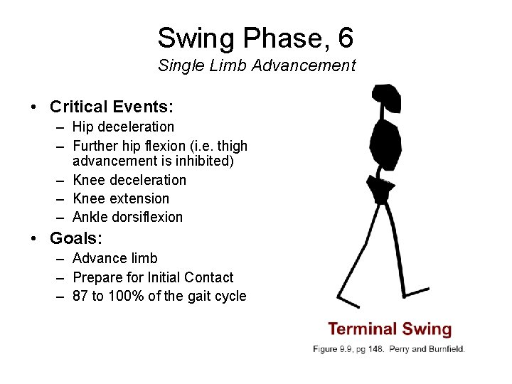 Swing Phase, 6 Single Limb Advancement • Critical Events: – Hip deceleration – Further