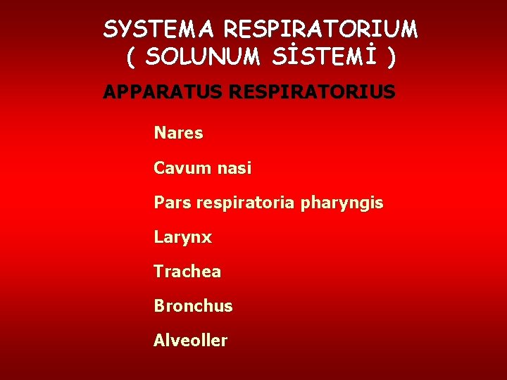 SYSTEMA RESPIRATORIUM ( SOLUNUM SİSTEMİ ) APPARATUS RESPIRATORIUS Nares Cavum nasi Pars respiratoria pharyngis