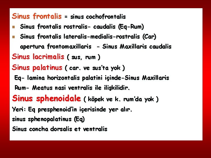 Sinus frontalis = sinus cochofrontalis n Sinus frontalis rostralis- caudalis (Eq-Rum) n Sinus frontalis