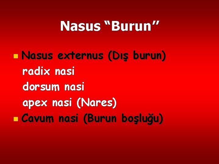 Nasus “Burun’’ Nasus externus (Dış burun) radix nasi dorsum nasi apex nasi (Nares) n