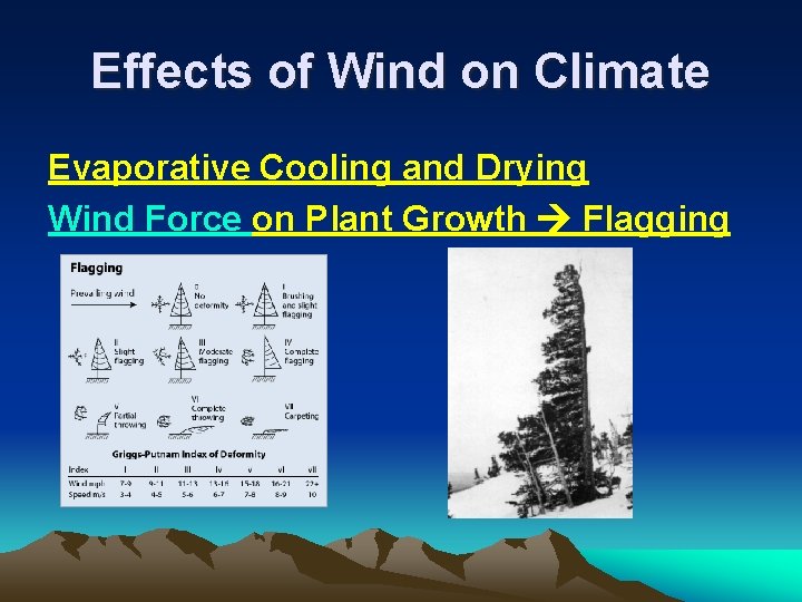 Effects of Wind on Climate Evaporative Cooling and Drying Wind Force on Plant Growth
