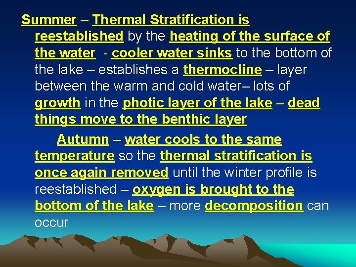 Summer – Thermal Stratification is reestablished by the heating of the surface of the