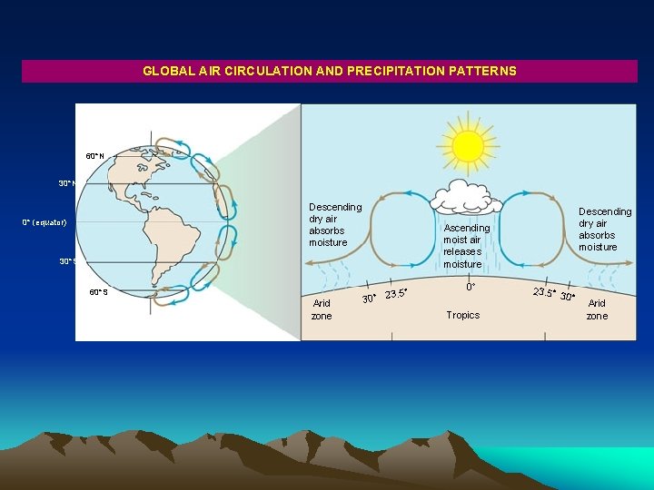 GLOBAL AIR CIRCULATION AND PRECIPITATION PATTERNS 60 N 30 N Descending dry air absorbs