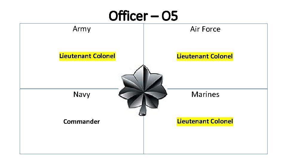 Army Officer – O 5 Lieutenant Colonel Air Force Lieutenant Colonel Navy Marines Commander