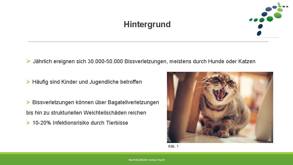 Hintergrund Ø Jährlich ereignen sich 30. 000 -50. 000 Bissverletzungen, meistens durch Hunde oder