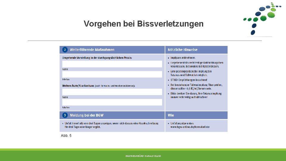 Vorgehen bei Bissverletzungen Abb. 5 INGENIEURBÜRO HARALD BLUM 