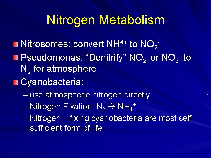 Nitrogen Metabolism Nitrosomes: convert NH 4+ to NO 2 Pseudomonas: “Denitrify” NO 2 -