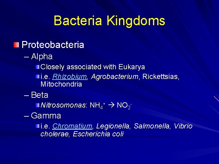 Bacteria Kingdoms Proteobacteria – Alpha Closely associated with Eukarya i. e. Rhizobium, Agrobacterium, Rickettsias,