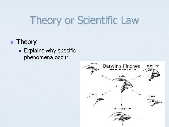 Theory or Scientific Law n Theory n Explains why specific phenomena occur 