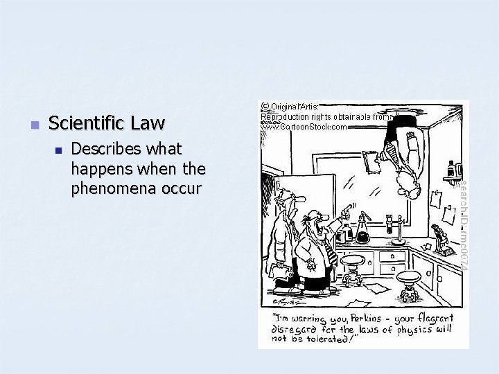 n Scientific Law n Describes what happens when the phenomena occur 