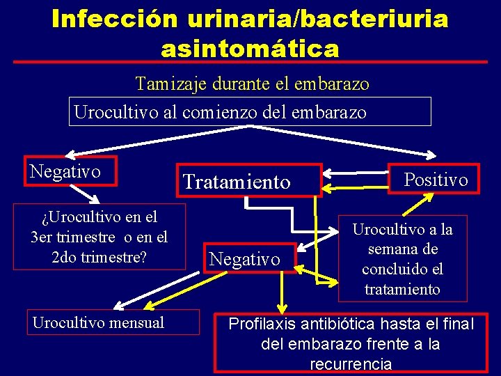 Infección urinaria/bacteriuria asintomática Tamizaje durante el embarazo Urocultivo al comienzo del embarazo Negativo ¿Urocultivo