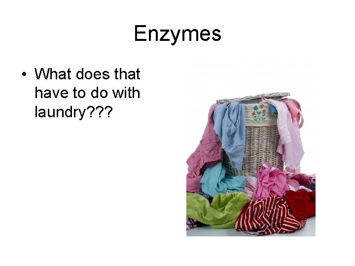 Enzymes • What does that have to do with laundry? ? ? 