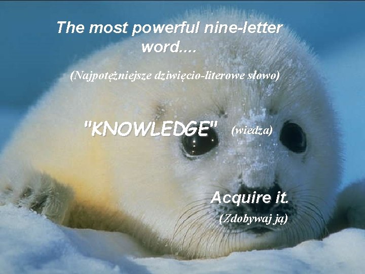 The most powerful nine-letter word. . (Najpotężniejsze dziwięcio-literowe słowo) "KNOWLEDGE" (wiedza) Acquire it. (Zdobywaj