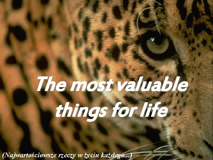 The most valuable things for life (Najwartościowsze rzeczy w życiu każdego. . . )