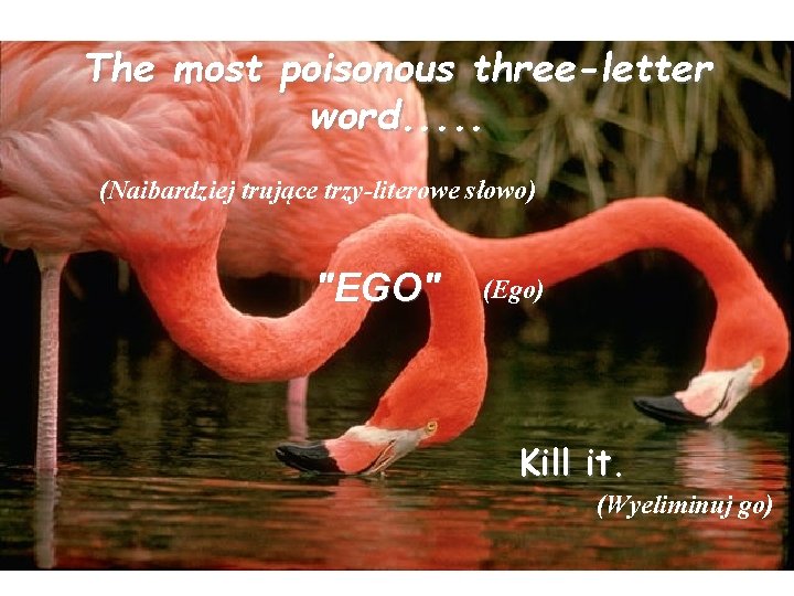 The most poisonous three-letter word. . . (Naibardziej trujące trzy-literowe słowo) "EGO" (Ego) Kill