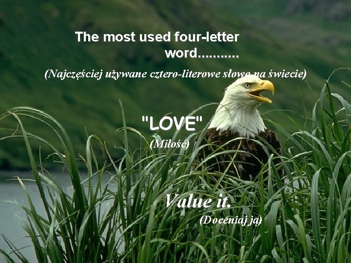 The most used four-letter word. . . (Najczęściej używane cztero-literowe słowo na świecie) "LOVE"