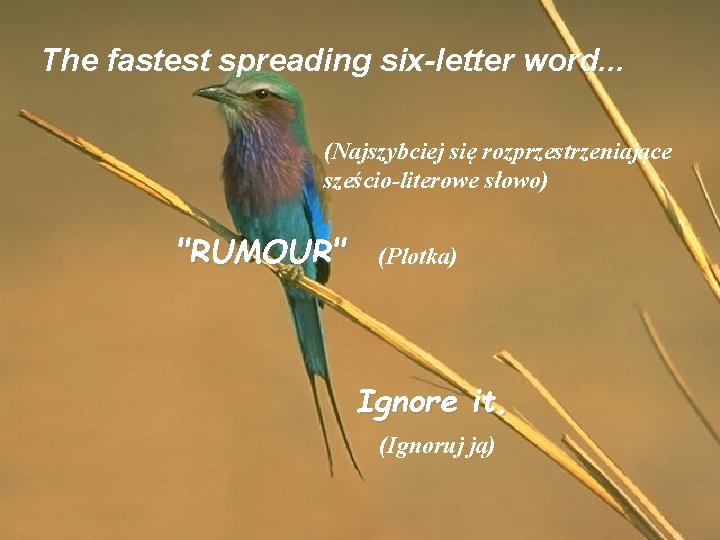 The fastest spreading six-letter word. . . (Najszybciej się rozprzestrzeniające sześcio-literowe słowo) "RUMOUR" (Plotka)