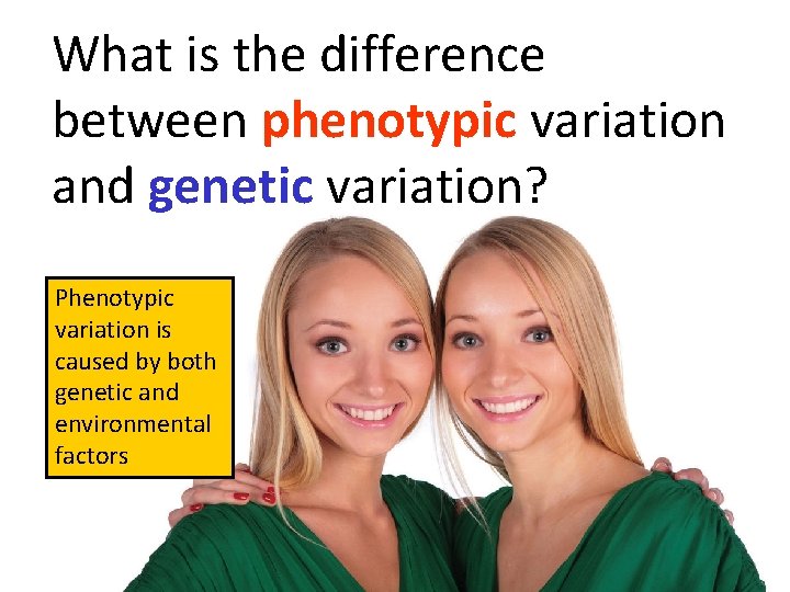 What is the difference between phenotypic variation and genetic variation? Phenotypic variation is caused