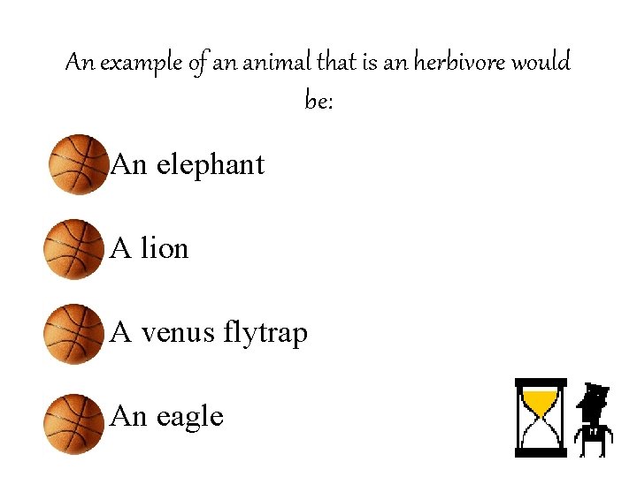 An example of an animal that is an herbivore would be: • An elephant