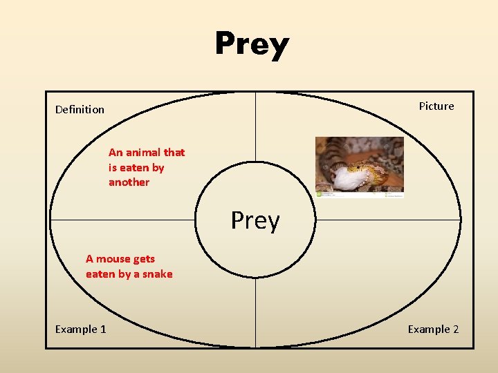 Prey Picture Definition An animal that is eaten by another Prey A mouse gets