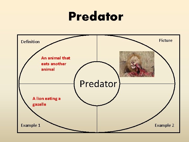 Predator Picture Definition An animal that eats another animal Predator A lion eating a