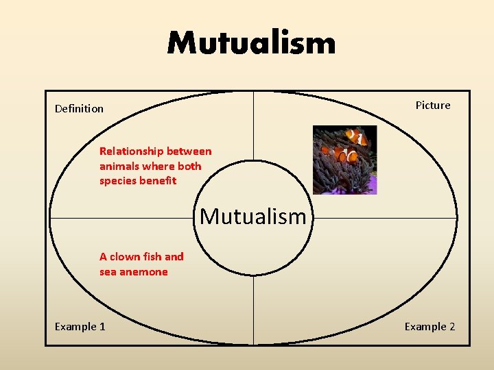 Mutualism Picture Definition Relationship between animals where both species benefit Mutualism A clown fish