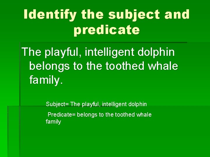 Identify the subject and predicate The playful, intelligent dolphin belongs to the toothed whale