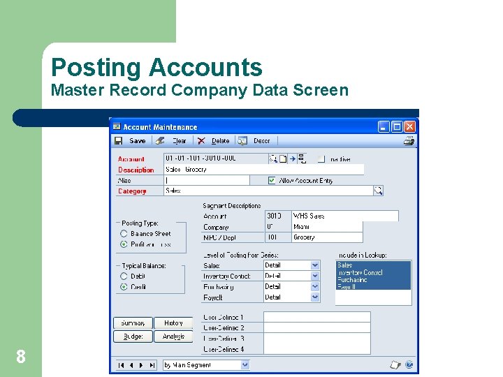 Posting Accounts Master Record Company Data Screen 8 