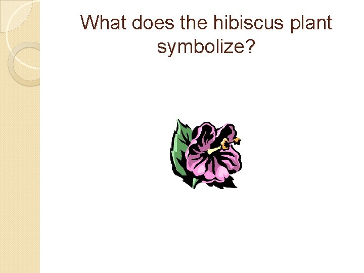 What does the hibiscus plant symbolize? 