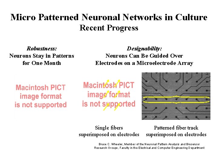 Micro Patterned Neuronal Networks in Culture Recent Progress Robustness: Neurons Stay in Patterns for