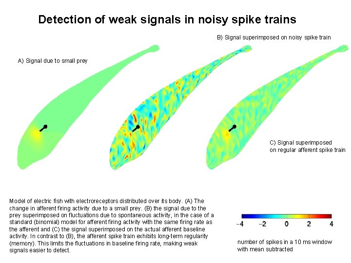 Detection of weak signals in noisy spike trains B) Signal superimposed on noisy spike