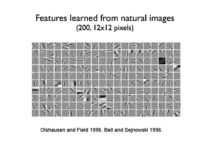 Olshausen and Field 1996. Bell and Sejnowski 1996. 