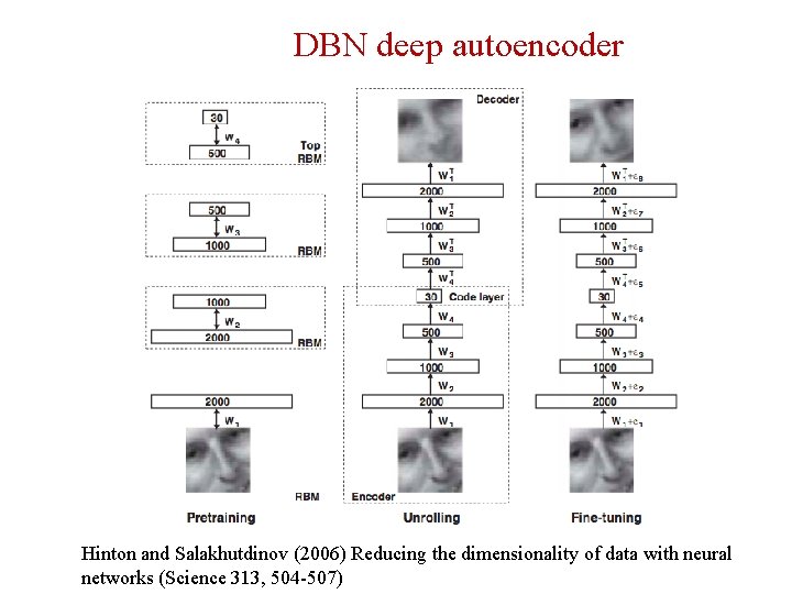 DBN deep autoencoder Hinton and Salakhutdinov (2006) Reducing the dimensionality of data with neural