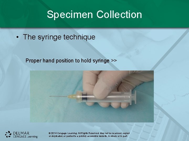 Specimen Collection • The syringe technique Proper hand position to hold syringe >> ©