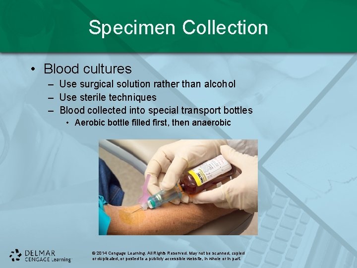 Specimen Collection • Blood cultures – Use surgical solution rather than alcohol – Use