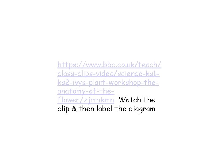 https: //www. bbc. co. uk/teach/ class-clips-video/science-ks 1 ks 2 -ivys-plant-workshop-theanatomy-of-theflower/zjmhkmn Watch the clip &