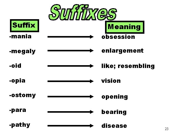 Suffixes (mania-pathy) Meaning -mania obsession -megaly enlargement -oid like; resembling -opia vision -ostomy opening