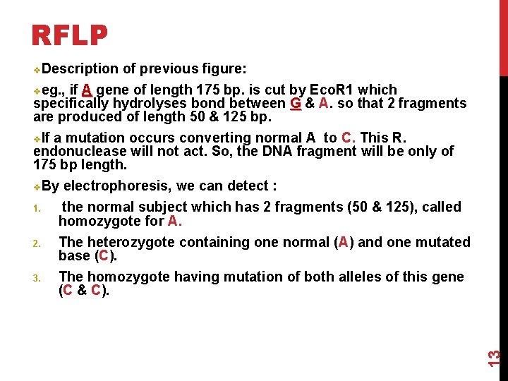 RFLP v. Description of previous figure: veg. , if A gene of length 175