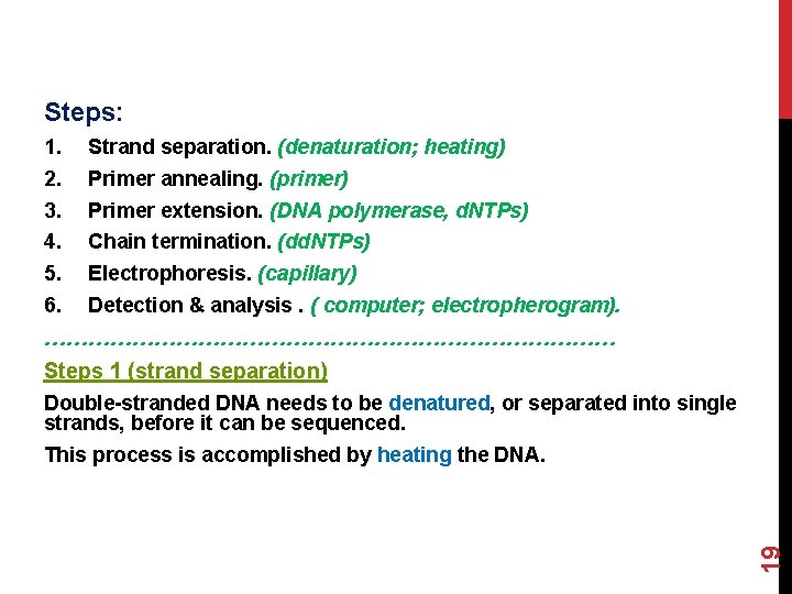 Steps: 1. 2. 3. 4. 5. 6. Strand separation. (denaturation; heating) Primer annealing. (primer)
