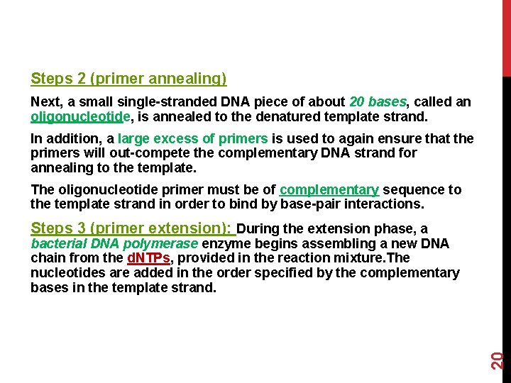 Steps 2 (primer annealing) Next, a small single-stranded DNA piece of about 20 bases,