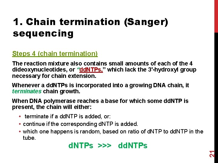 1. Chain termination (Sanger) sequencing Steps 4 (chain termination) The reaction mixture also contains