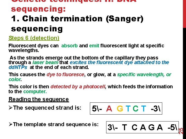 Genetic techniques. II. DNA sequencing: 1. Chain termination (Sanger) sequencing Steps 6 (detection) Fluorescent