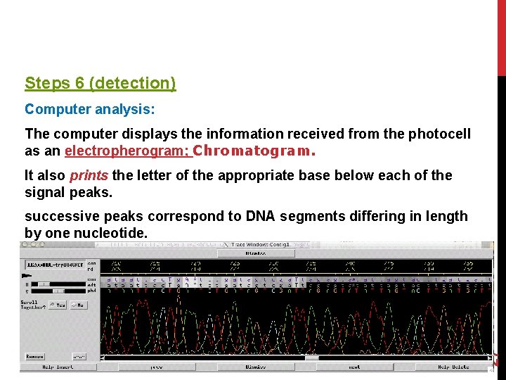 Steps 6 (detection) Computer analysis: The computer displays the information received from the photocell