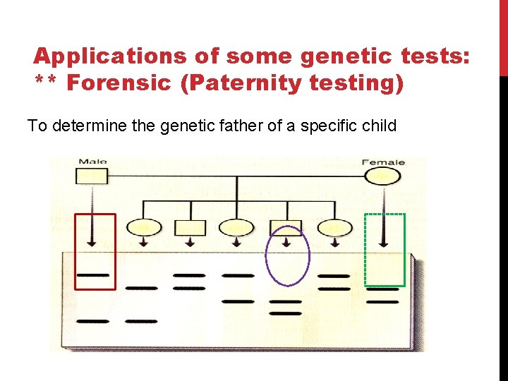 Applications of some genetic tests: ** Forensic (Paternity testing) To determine the genetic father