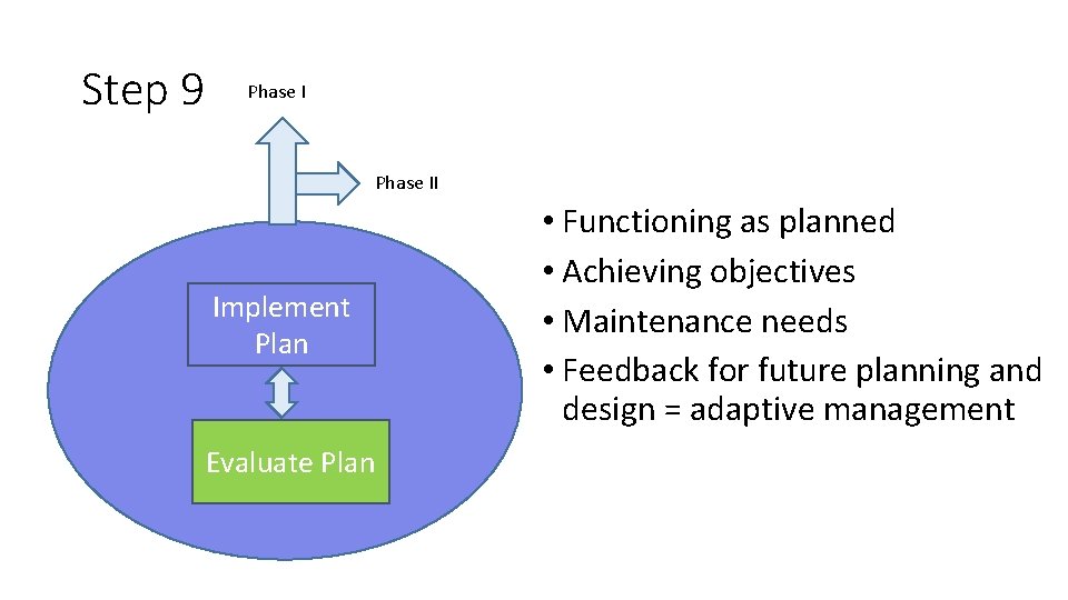 Step 9 Phase II Implement Plan Evaluate Plan • Functioning as planned • Achieving