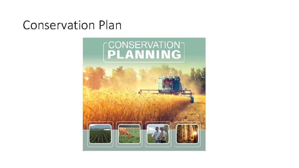 Conservation Plan 