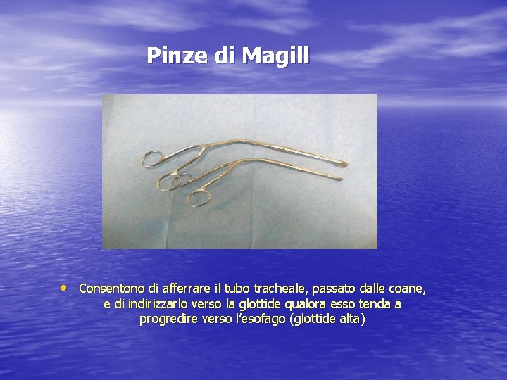 Pinze di Magill • Consentono di afferrare il tubo tracheale, passato dalle coane, e