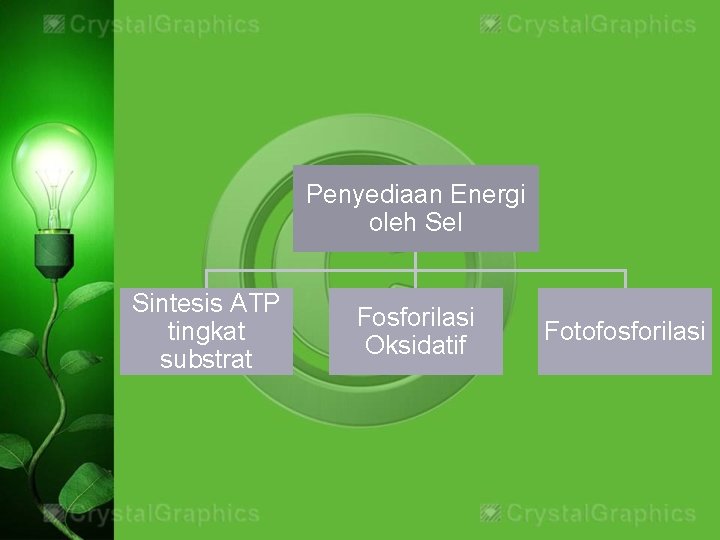 Penyediaan Energi oleh Sel Sintesis ATP tingkat substrat Fosforilasi Oksidatif Fotofosforilasi 