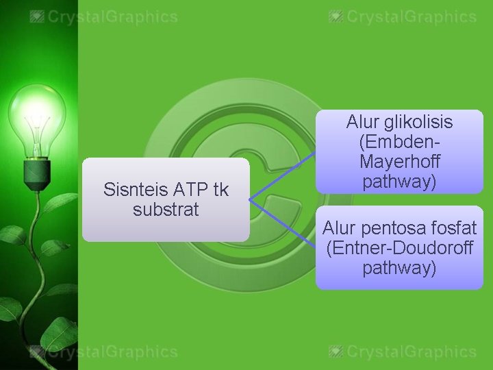 Sisnteis ATP tk substrat Alur glikolisis (Embden. Mayerhoff pathway) Alur pentosa fosfat (Entner-Doudoroff pathway)