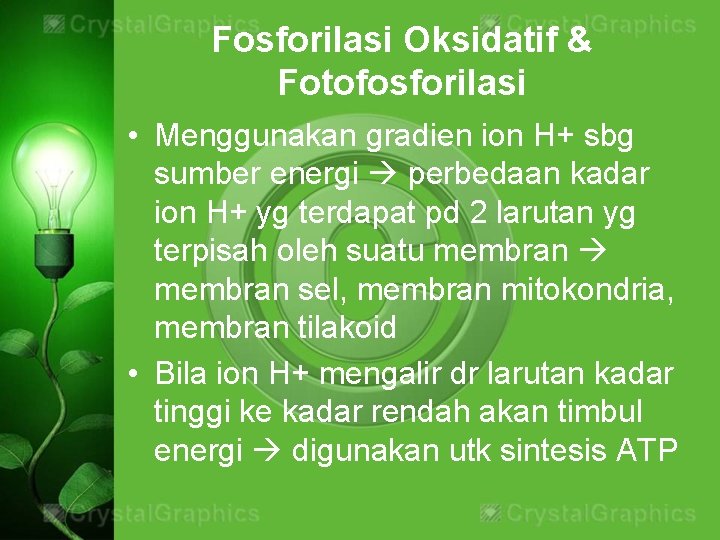 Fosforilasi Oksidatif & Fotofosforilasi • Menggunakan gradien ion H+ sbg sumber energi perbedaan kadar